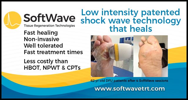 softwaveaug1621